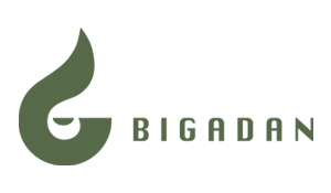 bigadan_logo